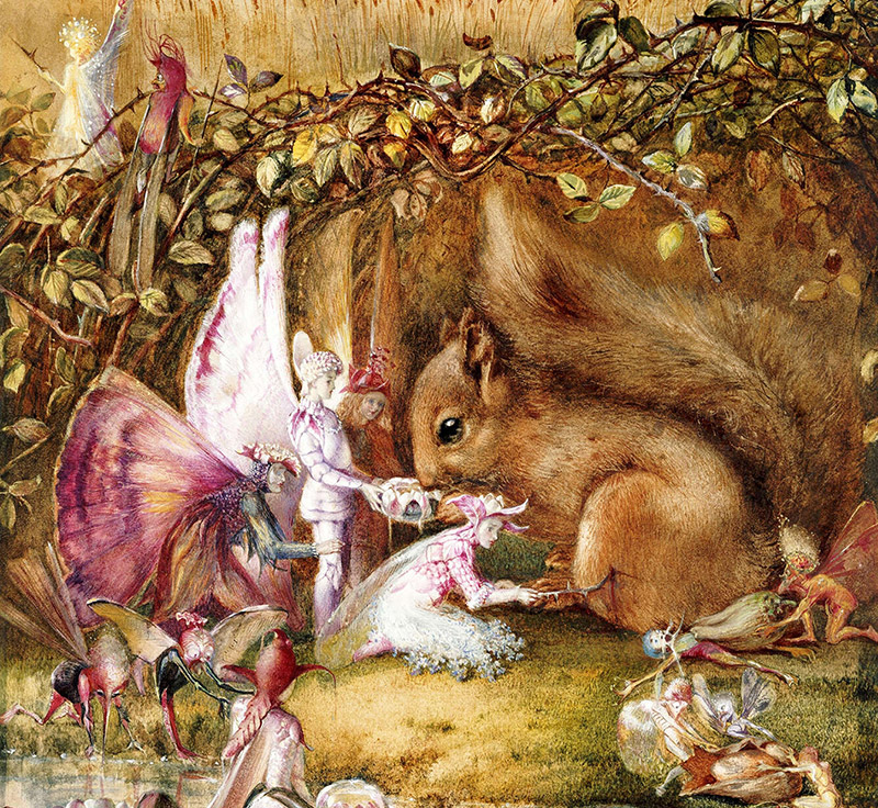 The Wounded Squirrel