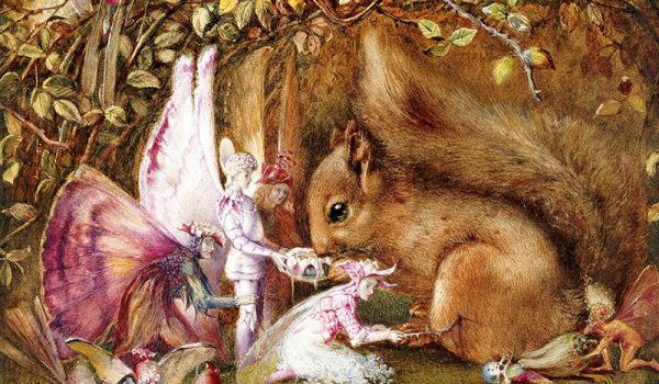 The Wounded Squirrel