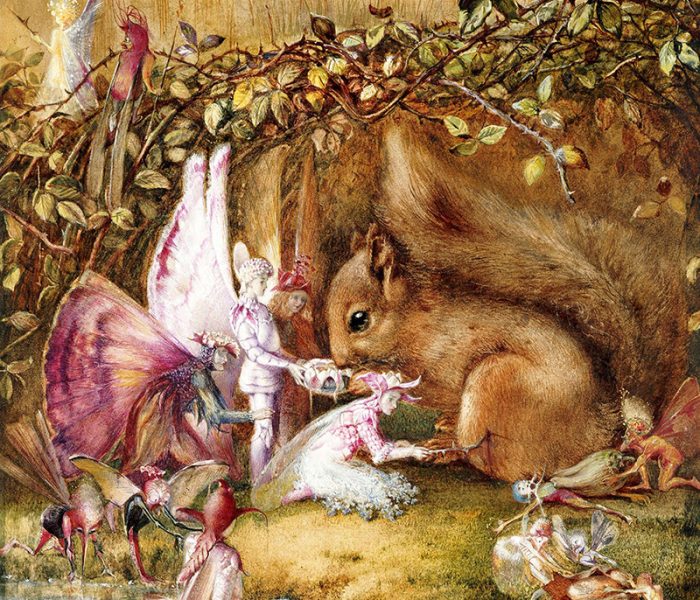 The Wounded Squirrel